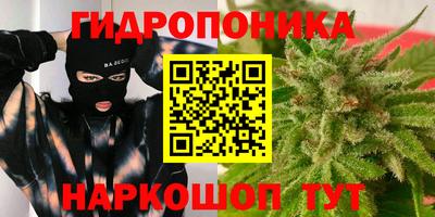 крисы Мариинск