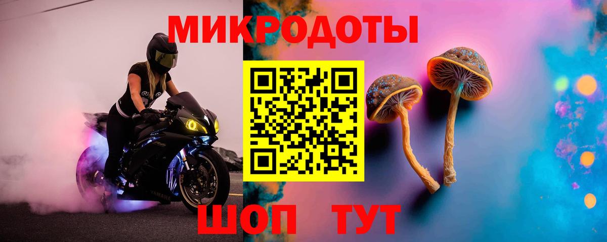 Чехов  Псилоцибиновые грибы Psilocybe  даркнет сайт  Вход с VPN 